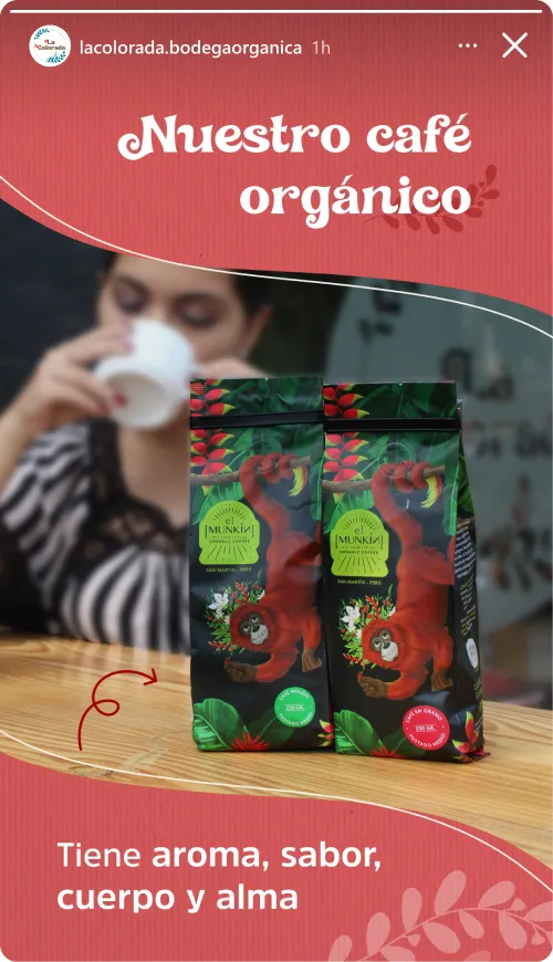 iOS IG Story Mock (3)