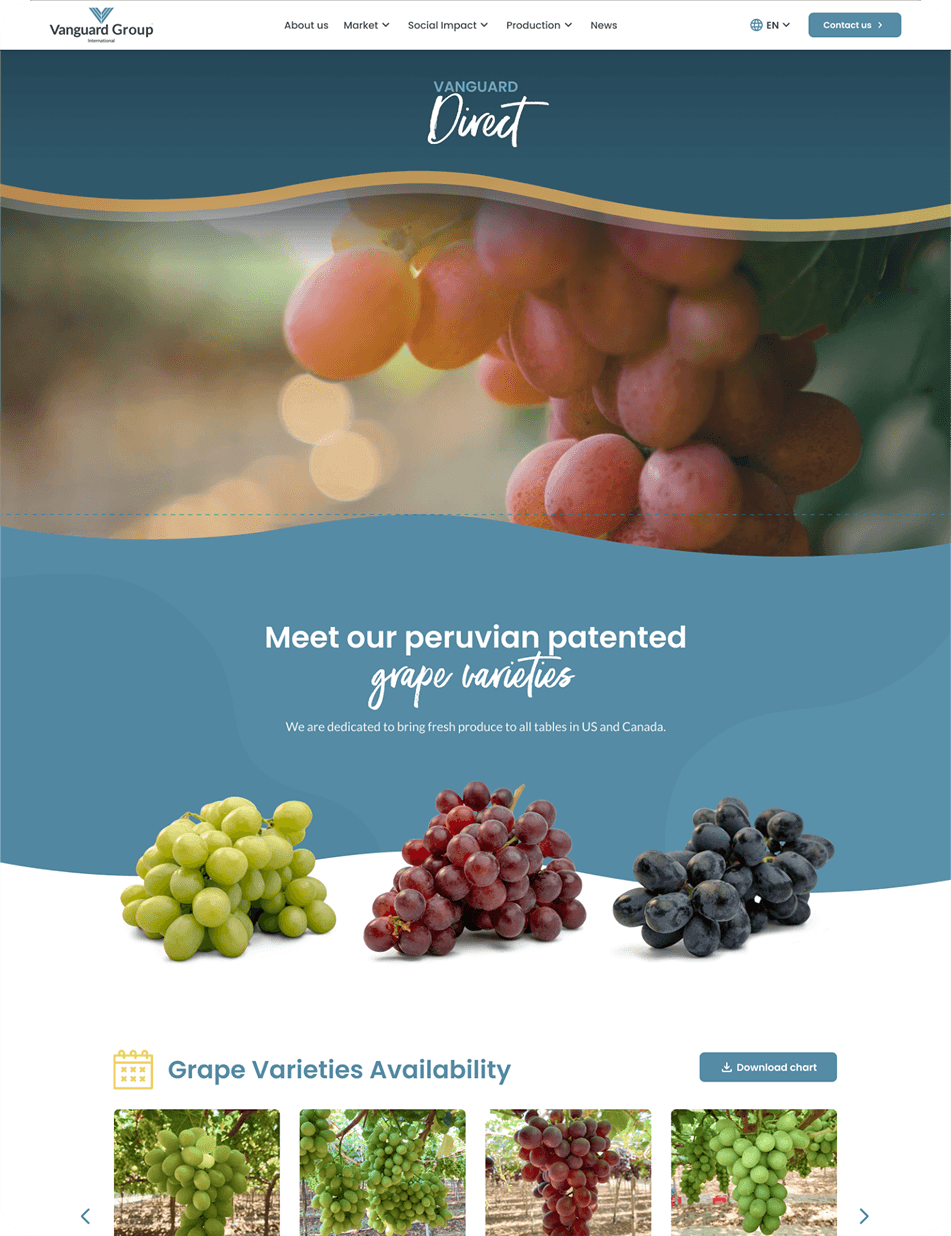 portafolio grup vanguard (3)
