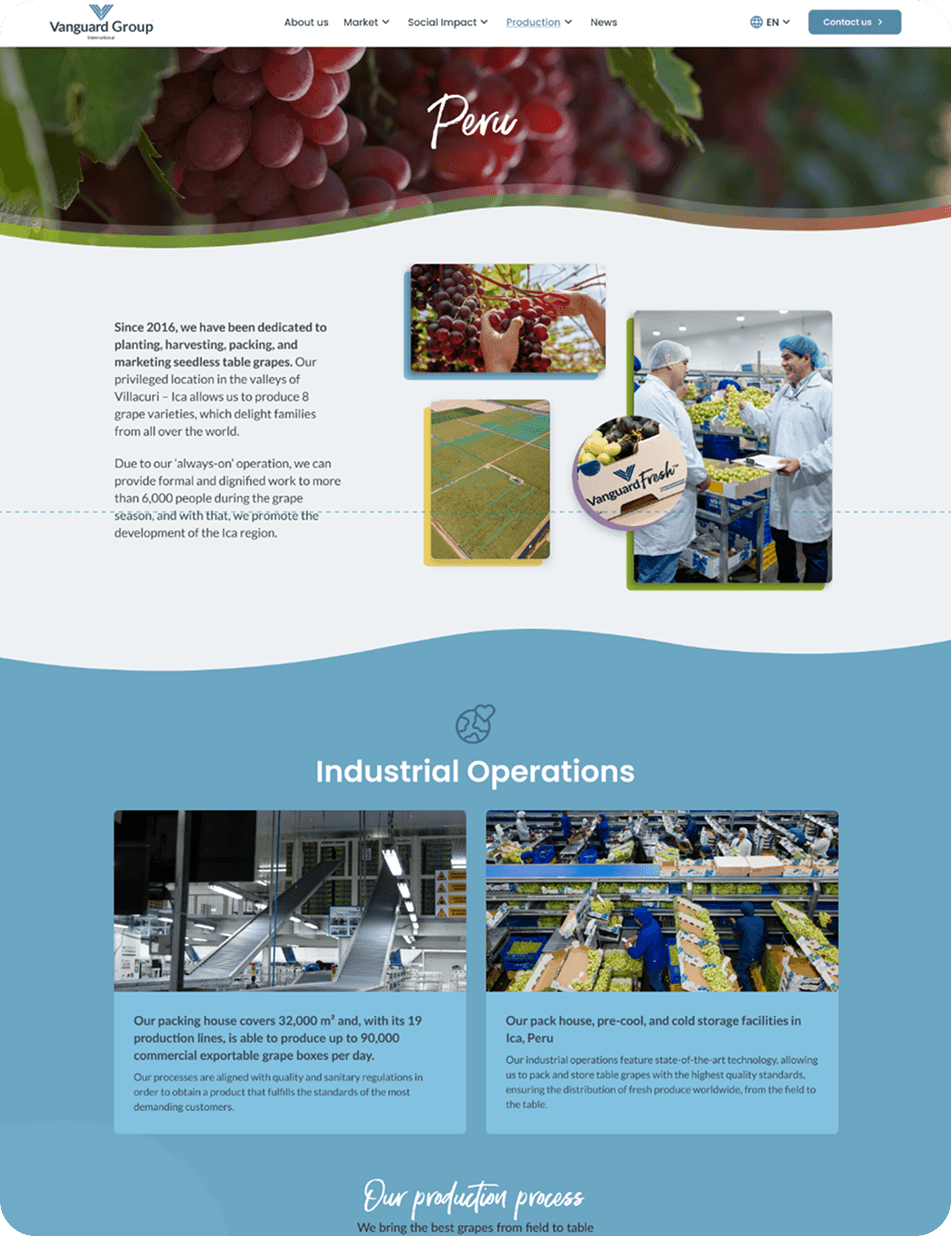portafolio grup vanguard (9)